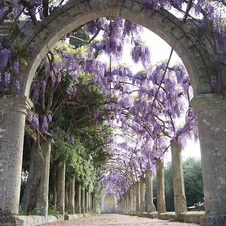 Masseria Appide מלון Corigliano dʼOtranto